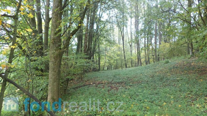 Prodej pole, Přimda, 35381 m2