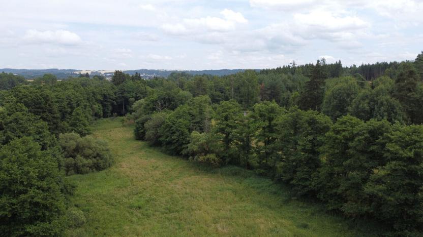 Prodej pole, Chodský Újezd - Nahý Újezdec, 25088 m2