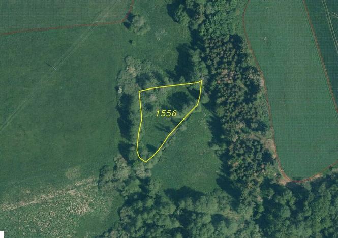 Prodej pole, Chodský Újezd - Nahý Újezdec, 25088 m2