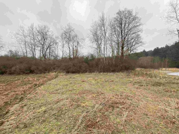 Prodej pozemku, Drahonice - Albrechtice, 2121 m2