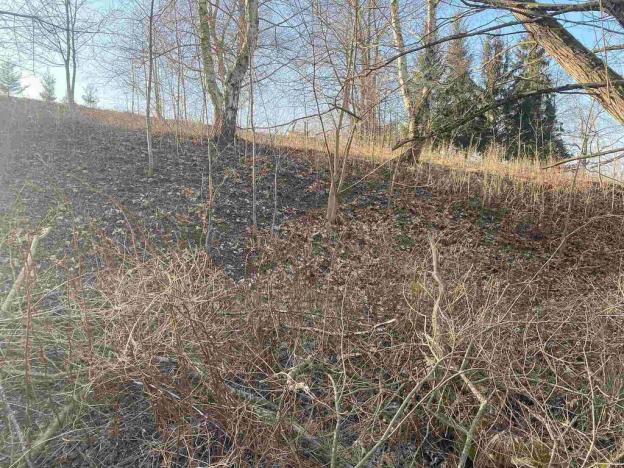 Prodej zahrady, Horní Stropnice, 2062 m2