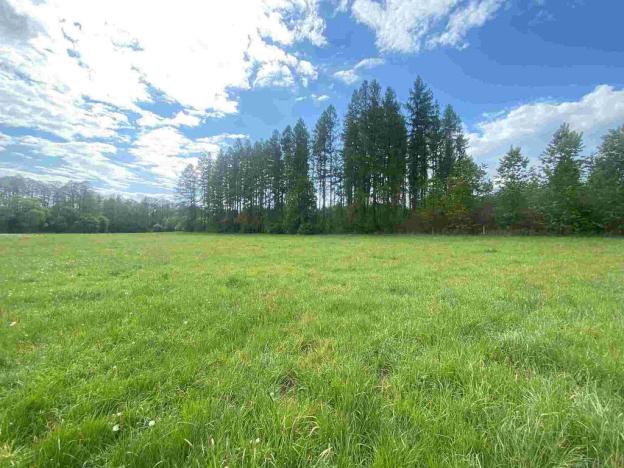 Prodej pozemku, Břidličná - Vajglov, 7130 m2