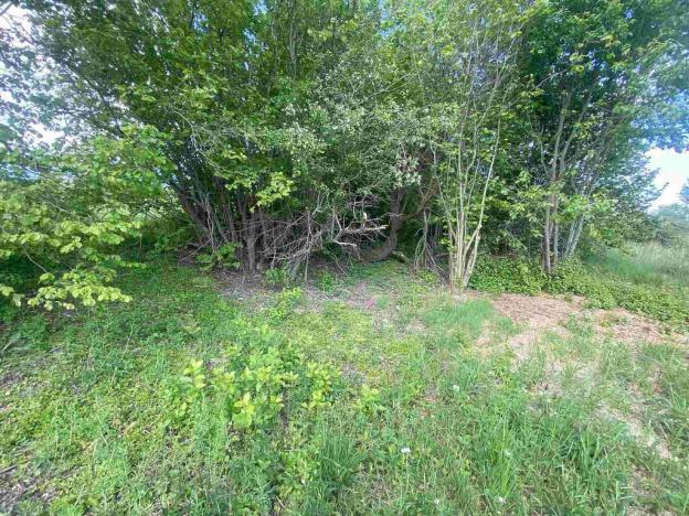 Prodej pozemku, Břidličná - Vajglov, 7130 m2