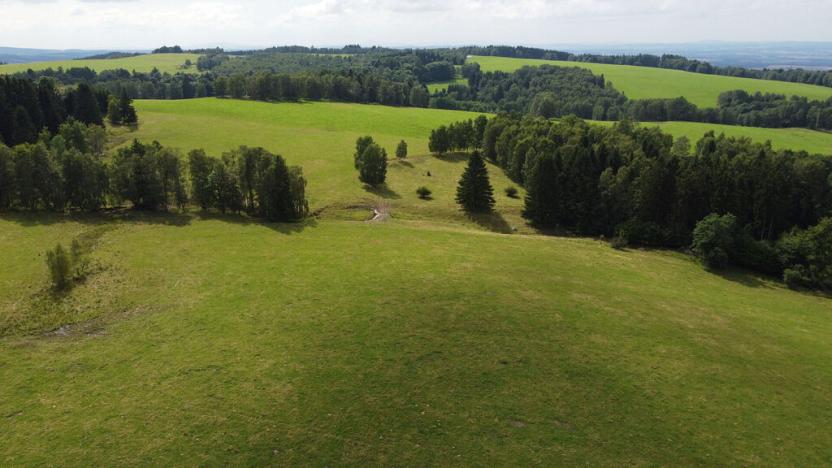Prodej pole, Březová, 7363 m2