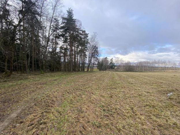 Prodej pozemku, Kaplice - Pořešín, 11526 m2