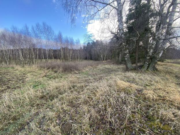 Prodej pozemku, Kaplice - Pořešín, 11526 m2