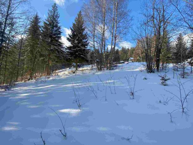 Prodej pozemku, Albrechtice v Jizerských horách, 4671 m2