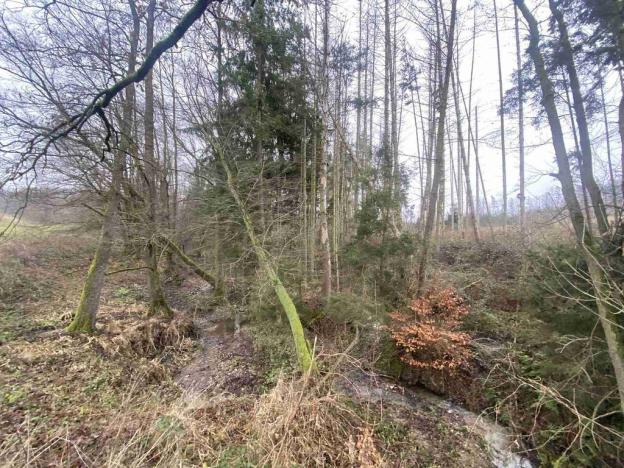 Prodej pozemku, Hosín - Dobřejovice, 10244 m2