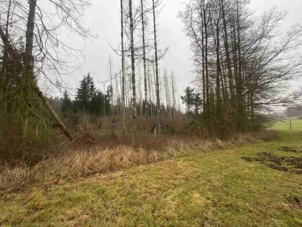 Prodej pozemku, Hosín - Dobřejovice, 10244 m2