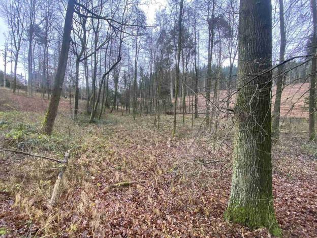 Prodej pozemku, Hosín - Dobřejovice, 10244 m2