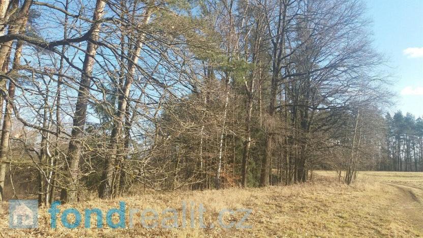 Prodej pozemku, Nová Ves nad Lužnicí, 10115 m2