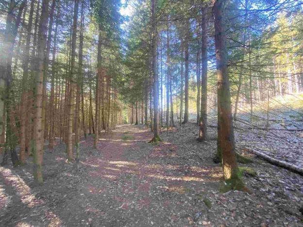 Prodej pozemku, Železná Ruda - Špičák, 1644 m2