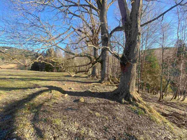 Prodej pozemku, Železná Ruda - Špičák, 1644 m2