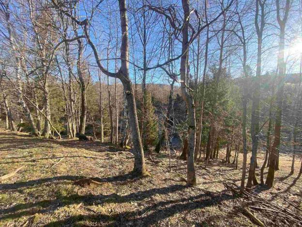 Prodej pozemku, Železná Ruda - Špičák, 1644 m2