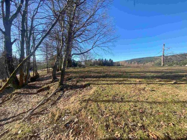 Prodej pozemku, Železná Ruda - Špičák, 1644 m2