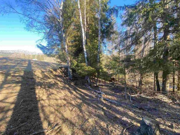 Prodej pozemku, Železná Ruda - Špičák, 1644 m2
