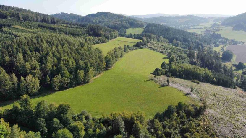 Prodej pole, Chlistov, 4212 m2