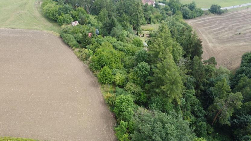 Prodej pozemku, Skuteč, 1714 m2