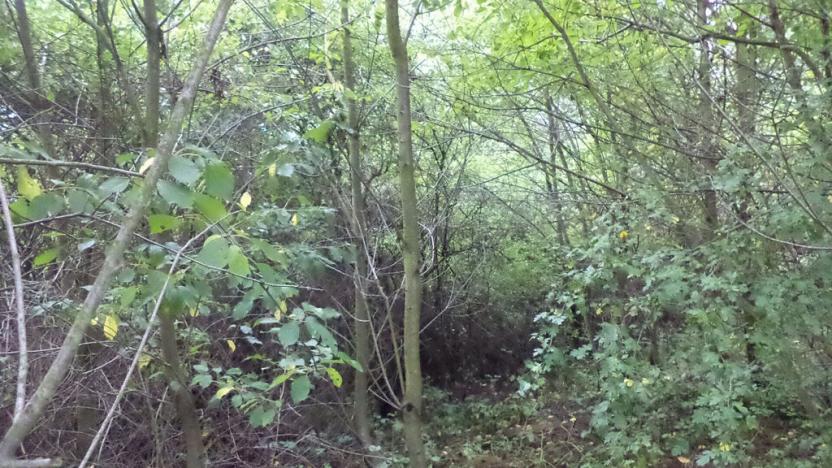 Prodej pozemku, Skuteč, 1714 m2