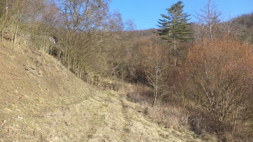 Prodej zahrady, Trmice, 3440 m2