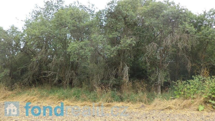 Prodej zahrady, Heřmanova Huť, 1100 m2