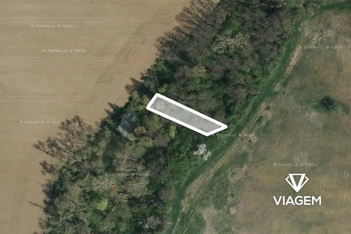 Prodej lesa, Vřesovice, 392 m2