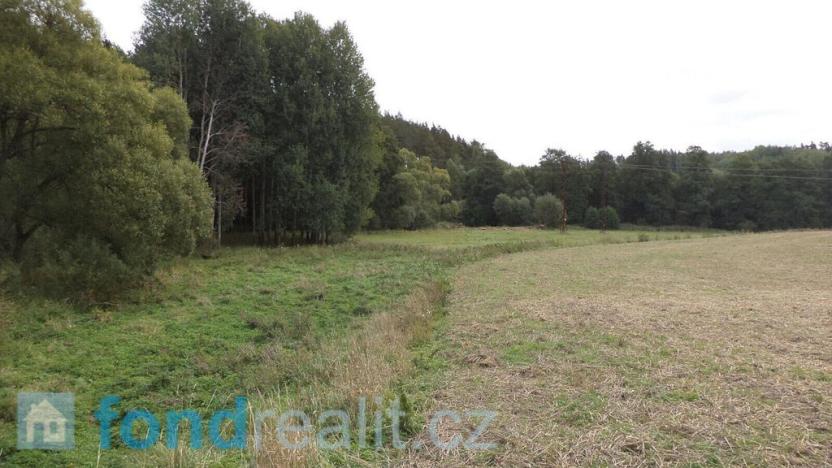 Prodej pole, Tachov, 55727 m2
