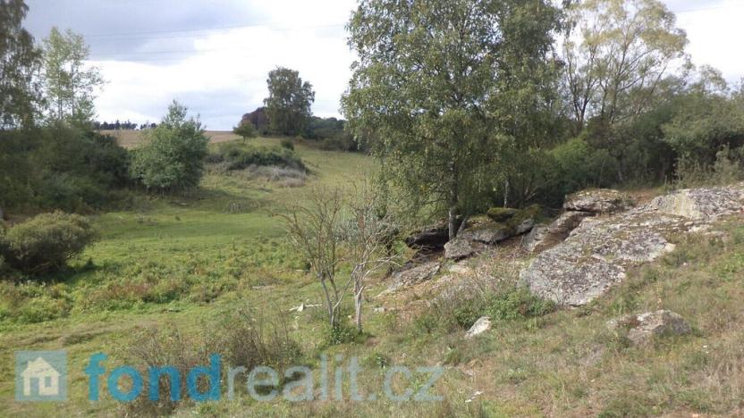 Prodej pole, Tachov, 55727 m2