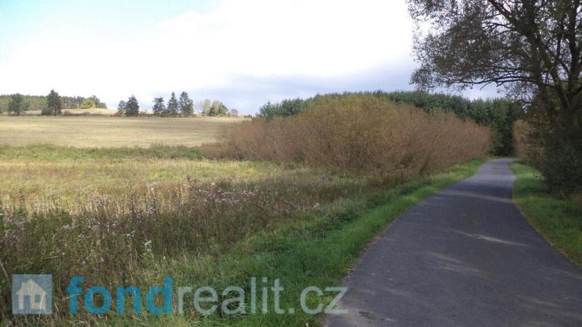 Prodej pole, Tachov, 55727 m2