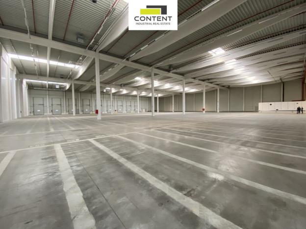 Pronájem skladu, Nýřany, U Mexika, 5442 m2