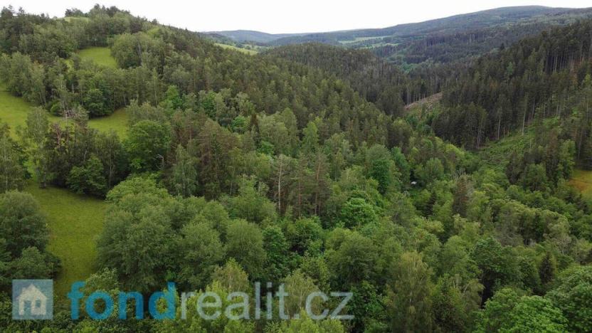 Prodej pozemku, Rejštejn, 5171 m2