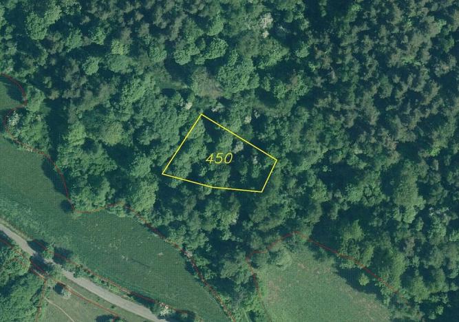 Prodej pozemku, Rejštejn, 5171 m2