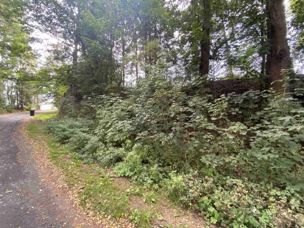 Prodej pozemku, Jindřichovice, 446 m2