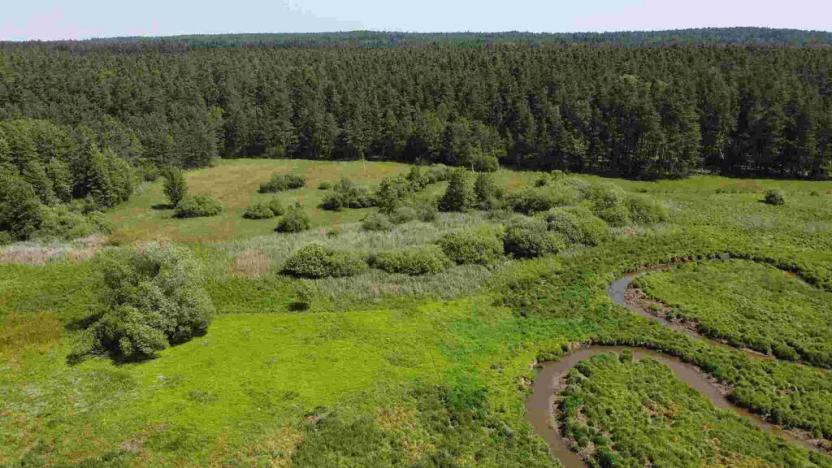 Prodej pozemku, Jílovice, 20535 m2