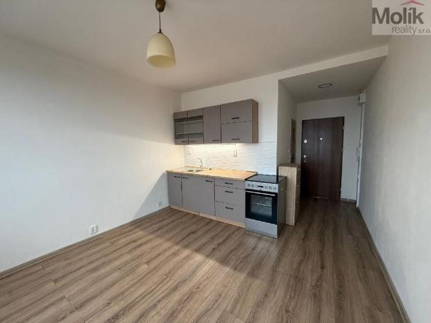 Prodej bytu 1+1, Jirkov, Pionýrů, 35 m2