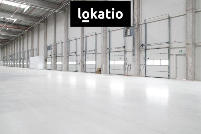 Pronájem skladu, Odrava - Obilná, 20821 m2