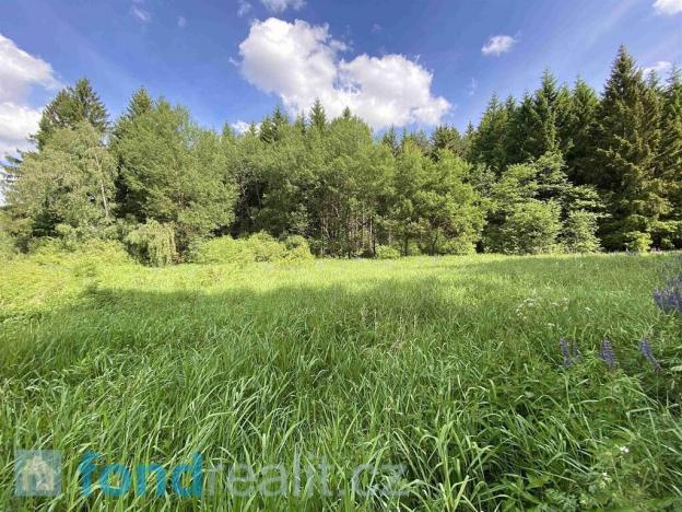 Prodej pozemku, Slavonice - Stálkov, 27662 m2