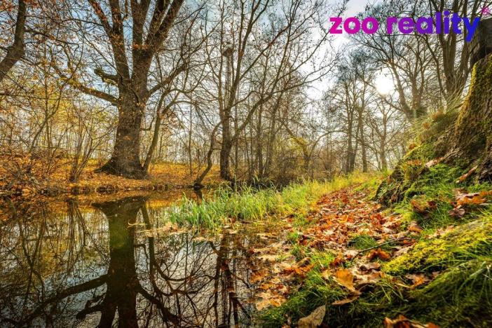 Prodej rodinného domu, Suchdol nad Lužnicí, Lužnická, 90 m2