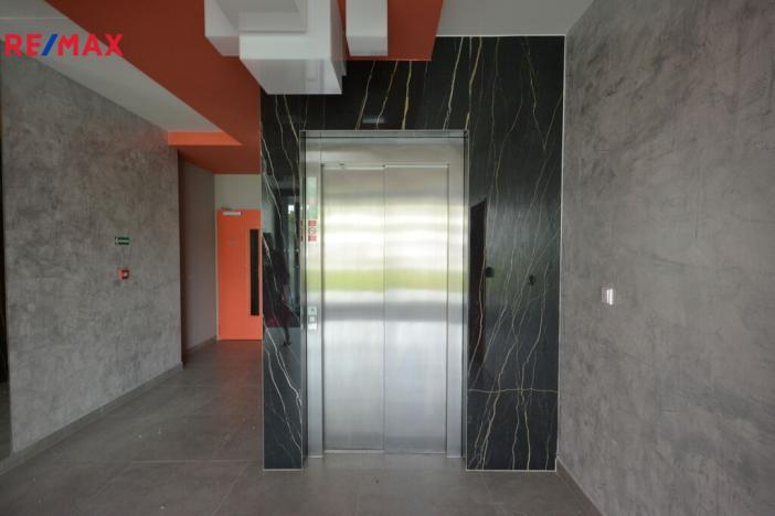 Pronájem bytu 2+kk, Praha - Karlín, U Sluncové, 56 m2