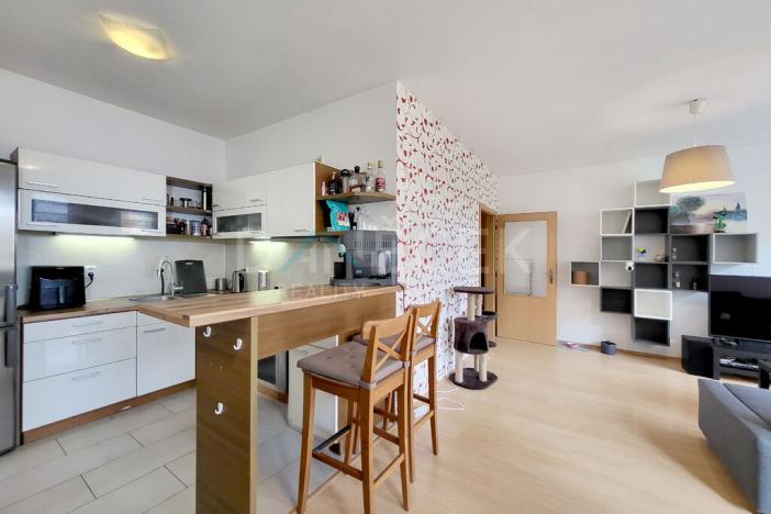 Pronájem bytu 2+kk, Brno - Líšeň, Leskauerova, 54 m2