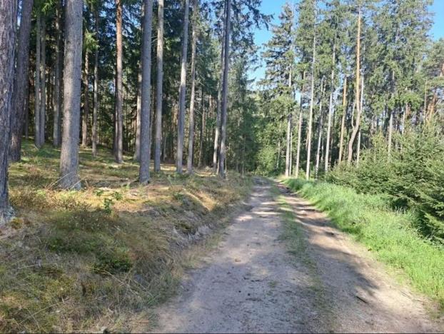 Prodej pozemku, Mirotice, 5629 m2