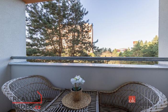 Pronájem bytu 1+1, Brno - Lesná, Halasovo náměstí, 32 m2