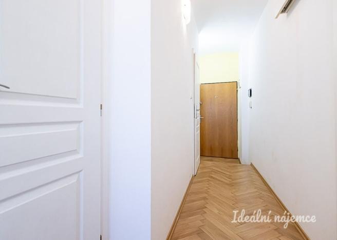 Pronájem bytu 1+kk, Praha - Žižkov, Rokycanova, 41 m2