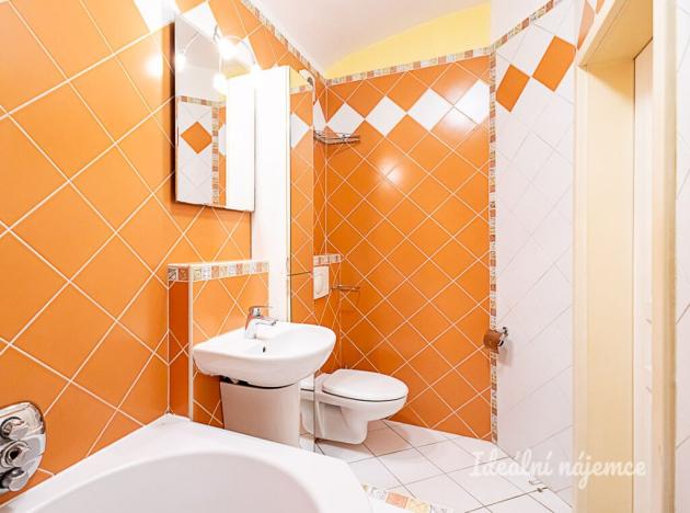 Pronájem bytu 1+kk, Praha - Žižkov, Rokycanova, 41 m2