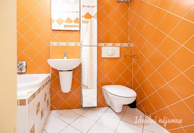 Pronájem bytu 1+kk, Praha - Žižkov, Rokycanova, 41 m2