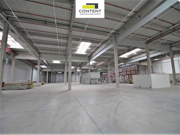 Pronájem skladu, Karviná - Staré Město, Dětmarovická, 10446 m2