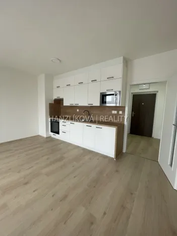 Pronájem bytu 1+kk, České Budějovice, Dobrovodská, 32 m2