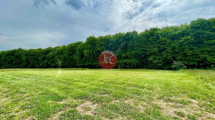 Prodej pozemku pro bydlení, Velká Polom, Okružní, 2292 m2