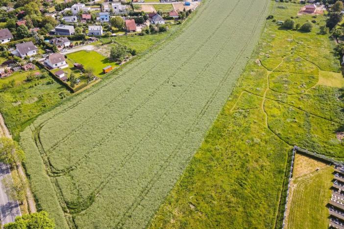 Prodej komerčního pozemku, Plzeň - Doudlevce, 11768 m2