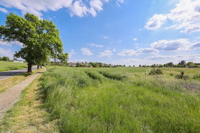 Prodej komerčního pozemku, Plzeň - Doudlevce, 11768 m2